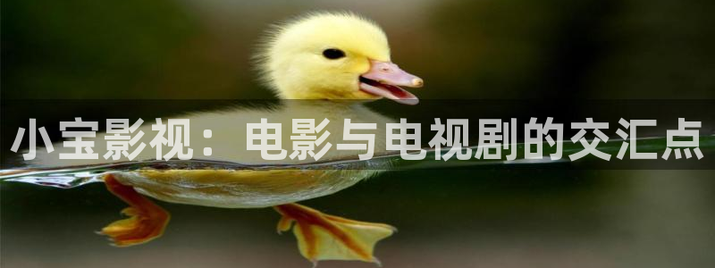泡泡午夜电影：小宝影视：电影与电视剧的交汇点