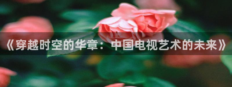 泡泡手机影视：《穿越时空的华章：中国电视艺术的未来》