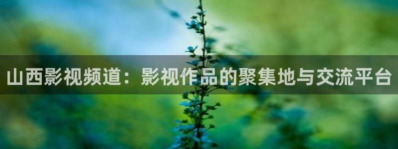 泡泡的电影：山西影视频道：影视作品的聚集地与交流平台