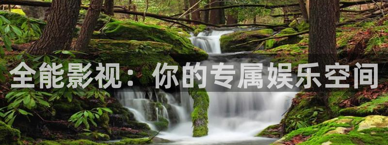泡泡影视欧美版：全能影视：你的专属娱乐空间