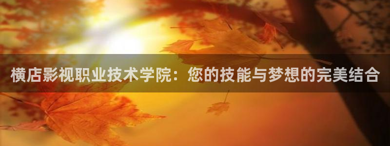 泡泡影视电视电影大全：横店影视职业技术学院：您的技能与梦想的完美结合