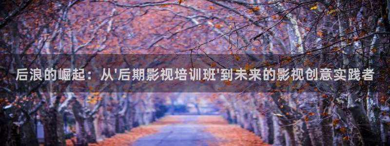 泡沫泡泡：后浪的崛起：从\'后期影视培训班\'到未来的影视创意实践者