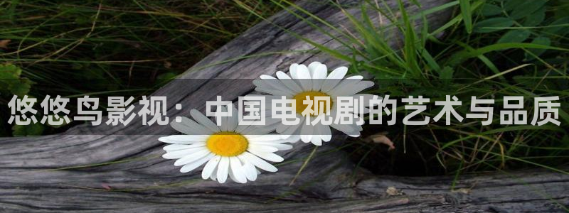 理论片泡泡影视：悠悠鸟影视：中国电视剧的艺术与品质