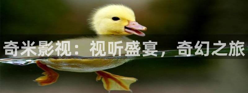 猪泡泡电影网